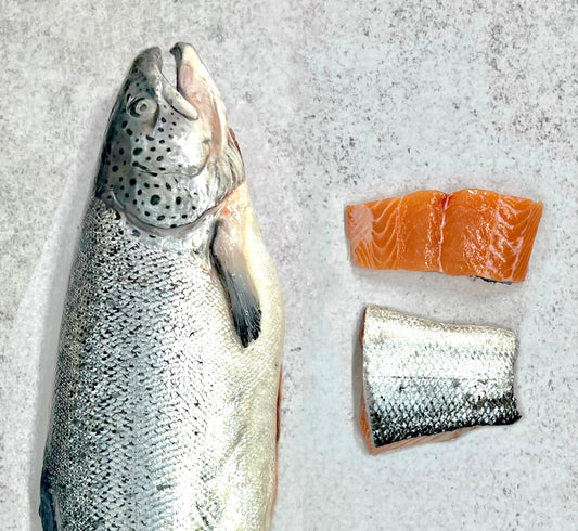 Pescado fresco de salmón con su piel y dos piezas de filete de salmón, una con piel y otra sin piel, sobre una superficie clara. Ideal para recetas saludables y nutritivas.